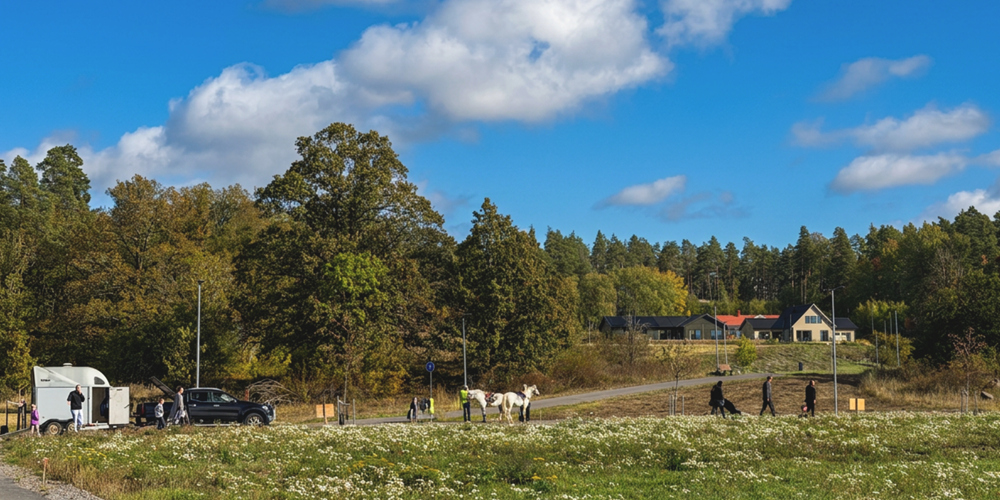 grebo-norrby-visningsdag